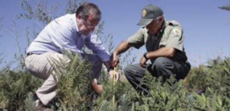 El consejero de Fomento y Medio Ambiente