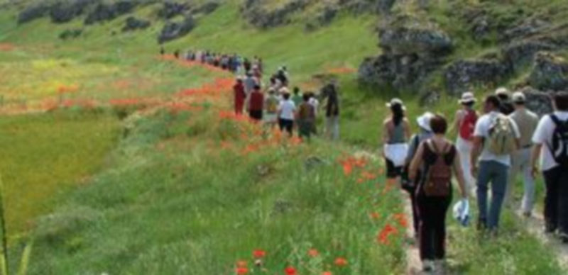 El programa educativo de Tierra de Pinares pretende difundir el conocimiento de los recursos naturales. / El Adelantado