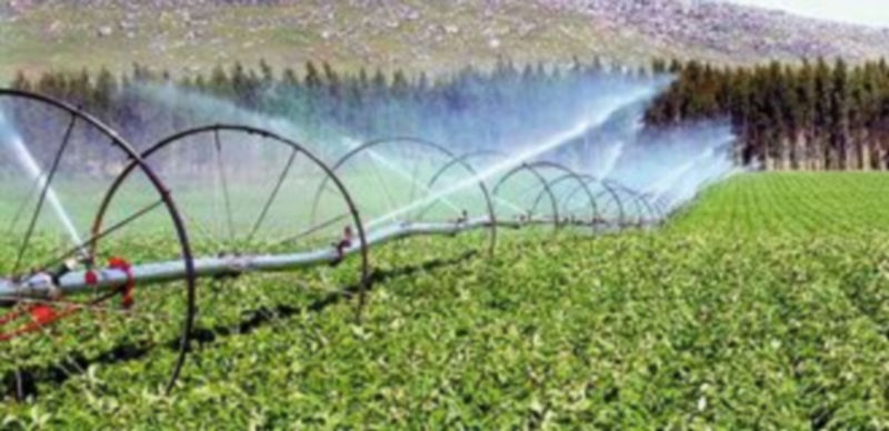 Los cultivos de regadío siguen siendo más caros que los de secano. / Efe