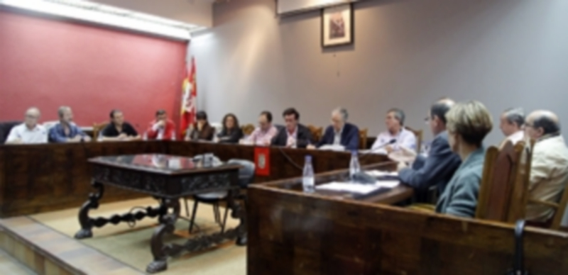 La sesión extraordinaria de pleno tendrá lugar el lunes 30 de diciembre a las 9.15 horas./ Gabriel Gómez