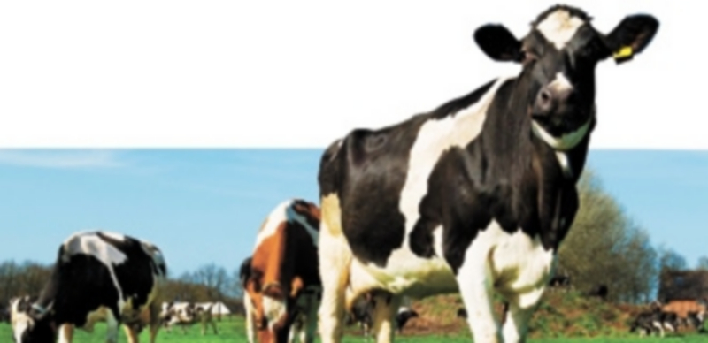 Bases para la política agraria 1 20 1865 1