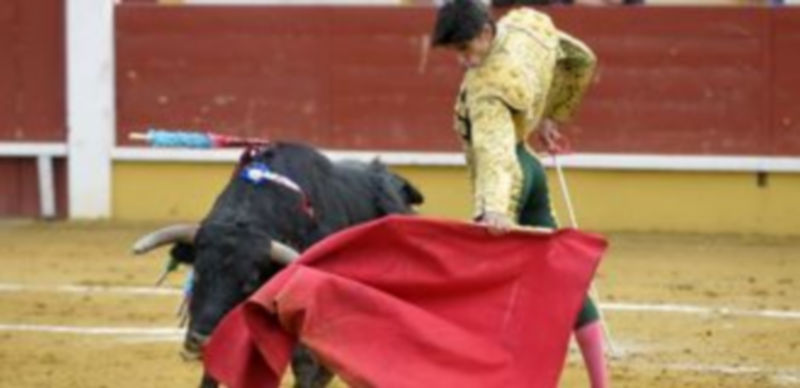 El novillero Víctor Barrio