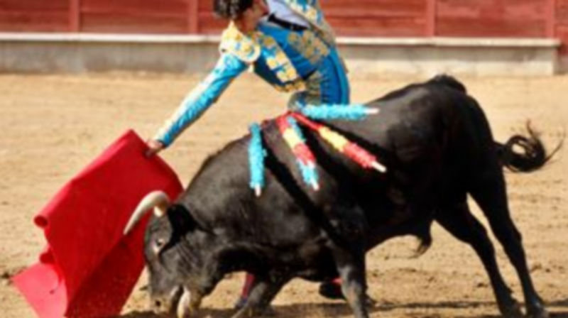 Víctor Barrio ha visto frenada su buena temporada por una inoportuna lesión. / Leo Valdez