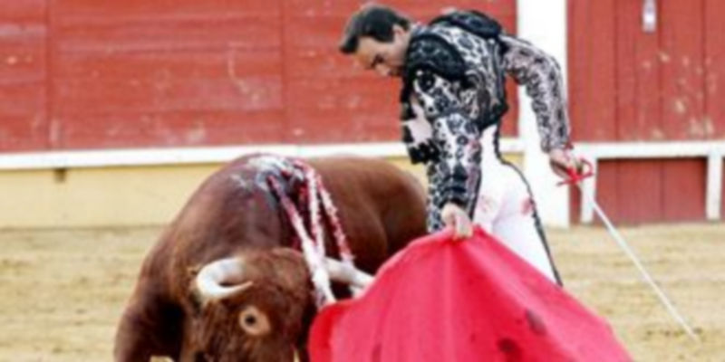 “El Cid” será el próximo invitado de la Tertulia Taurina de Segovia. / Gabriel Gómez