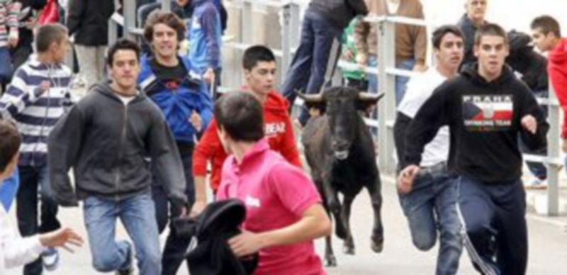 El Concurso de Tapas y las vaquillas suelen centrar la actividad del día de San Miguel. /Gabriel Gómez