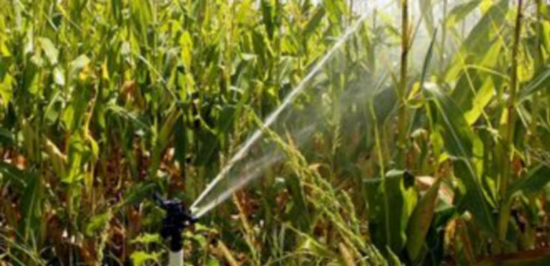 Los regadíos de la región verán sensiblemente mejorada su capacidad con los nuevos sistemas. / Ical