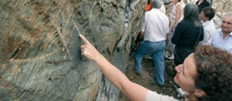 Algunos de los grabados aparecidos en el yacimiento arqueológico de Siega Verde en Salamanca. / Ical