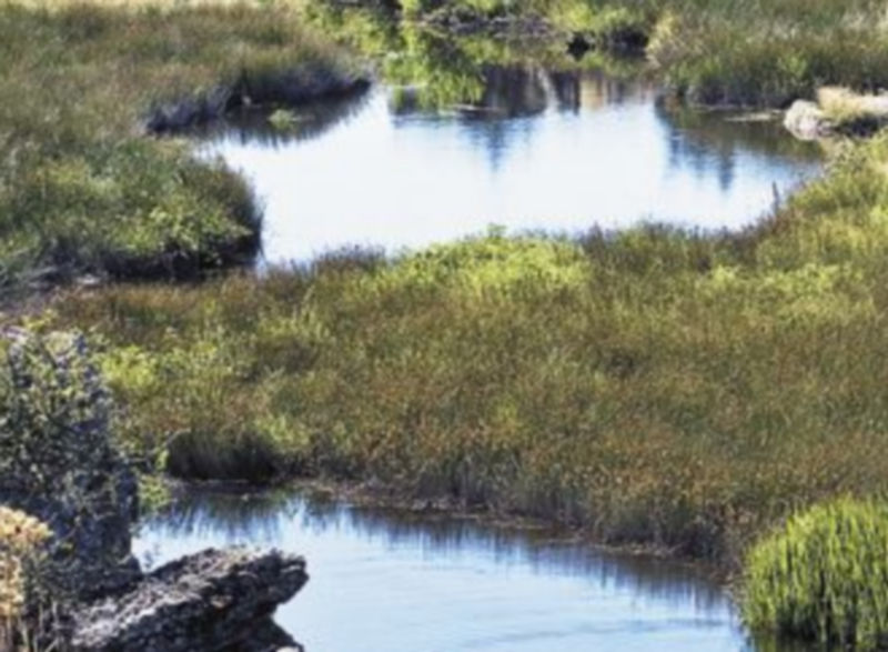 Paraje de la Sierra de La Culebra. / Ical