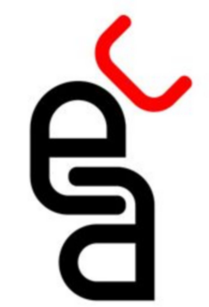 La Asociación someterá a su asamblea el nuevo logotipo. /El Adelantado