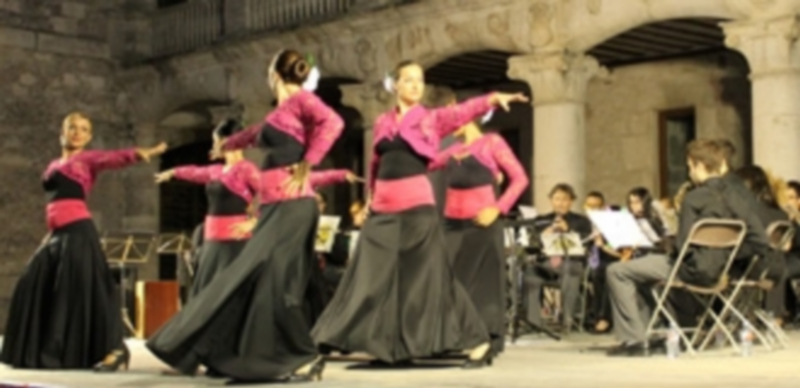 Concierto de pasodobles de 2014 en el Patio de Armas. / Chantal Núñez