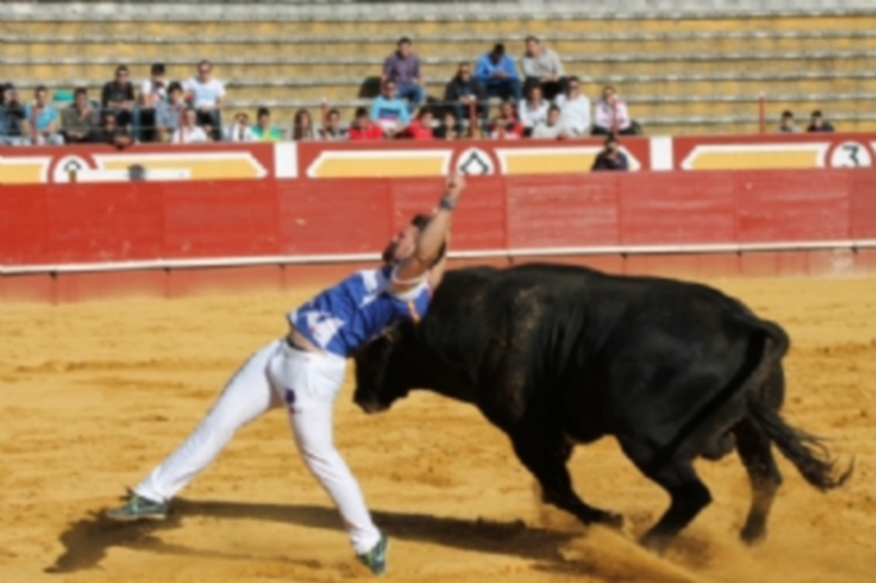 Instantes del concurso ‘Dioses en la Arena’ el año pasado. / C.N.