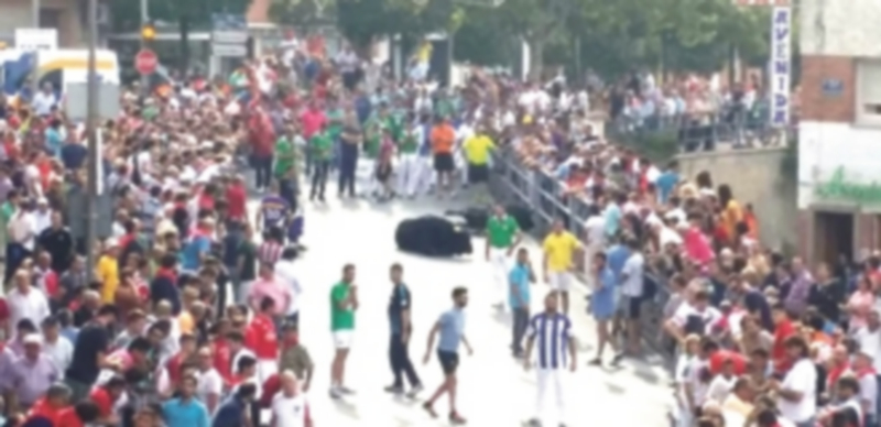 El alcalde aseguró que no reconducir el ganado habría sido más peligroso. / C.N.