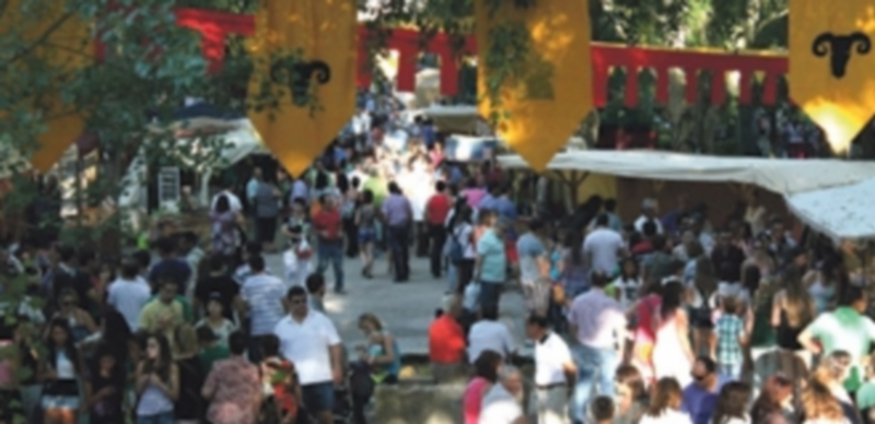 Miles de visitantes han recorrido las calles del Parque de la Huerta del Duque durante las jornadas de la XIX Feria Mudéjar./C.N.