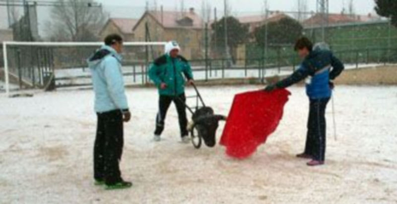 Los alumnos desafían a la nieve para practicar con el carretón. / El Adelantado