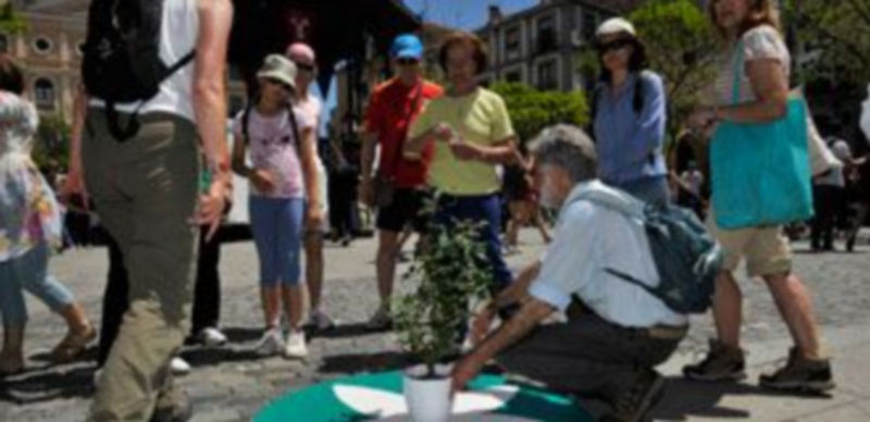 Plantación del Rosal de la Paz en la primera edición. / Kamarero