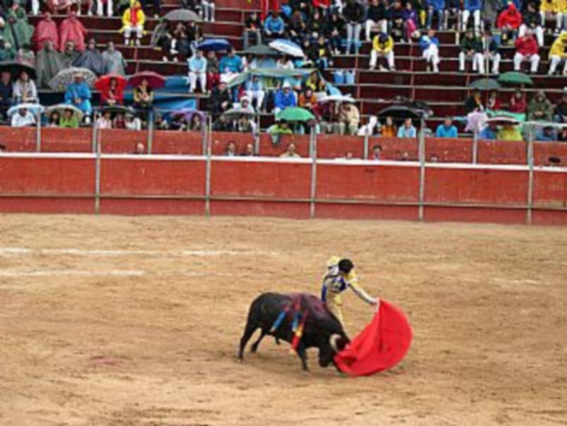 Imagen de Morenito de Aranda toreando en septiembre en Riaza. / P.P.