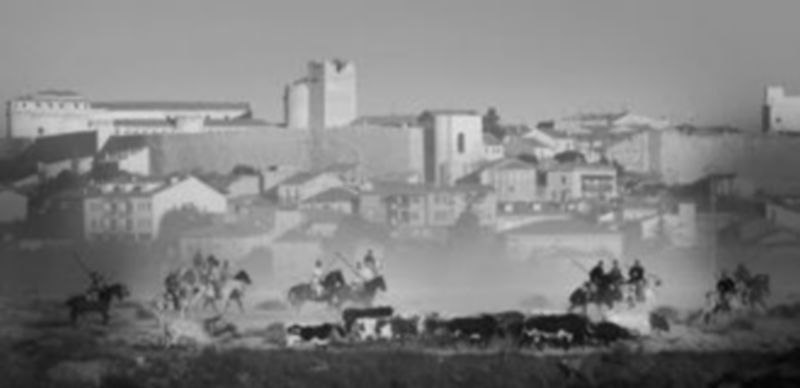 Fotografía ganadora del primer premio del concurso fotográfico de las fiestas de 2011. / El Adelantado