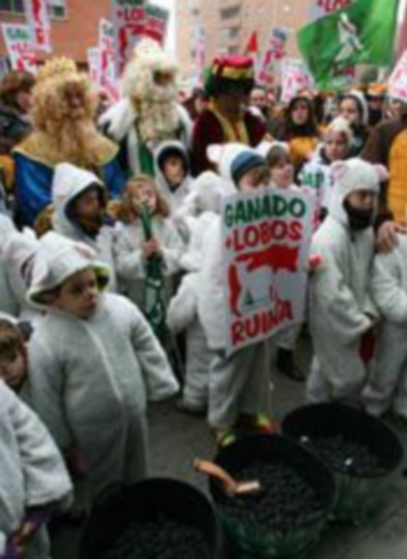 Mayores y niños disfrados lanzan carbón a la puerta de la Consejería. / Ical