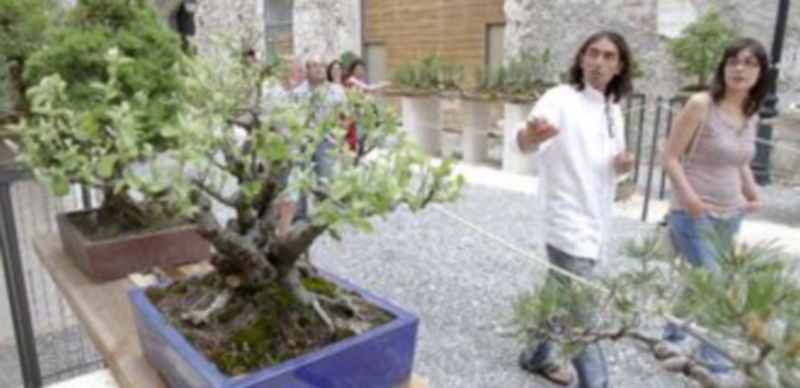 Uno de los aficionados muestra a los visitantes algunos de los ejemplares expuestos. /Gabriel Gómez