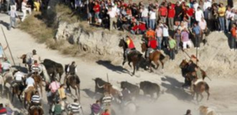 El Ayuntamiento advierte en la ordenanza de los riesgos en los corrales y en la zona de El Embudo. / Gabriel Gómez