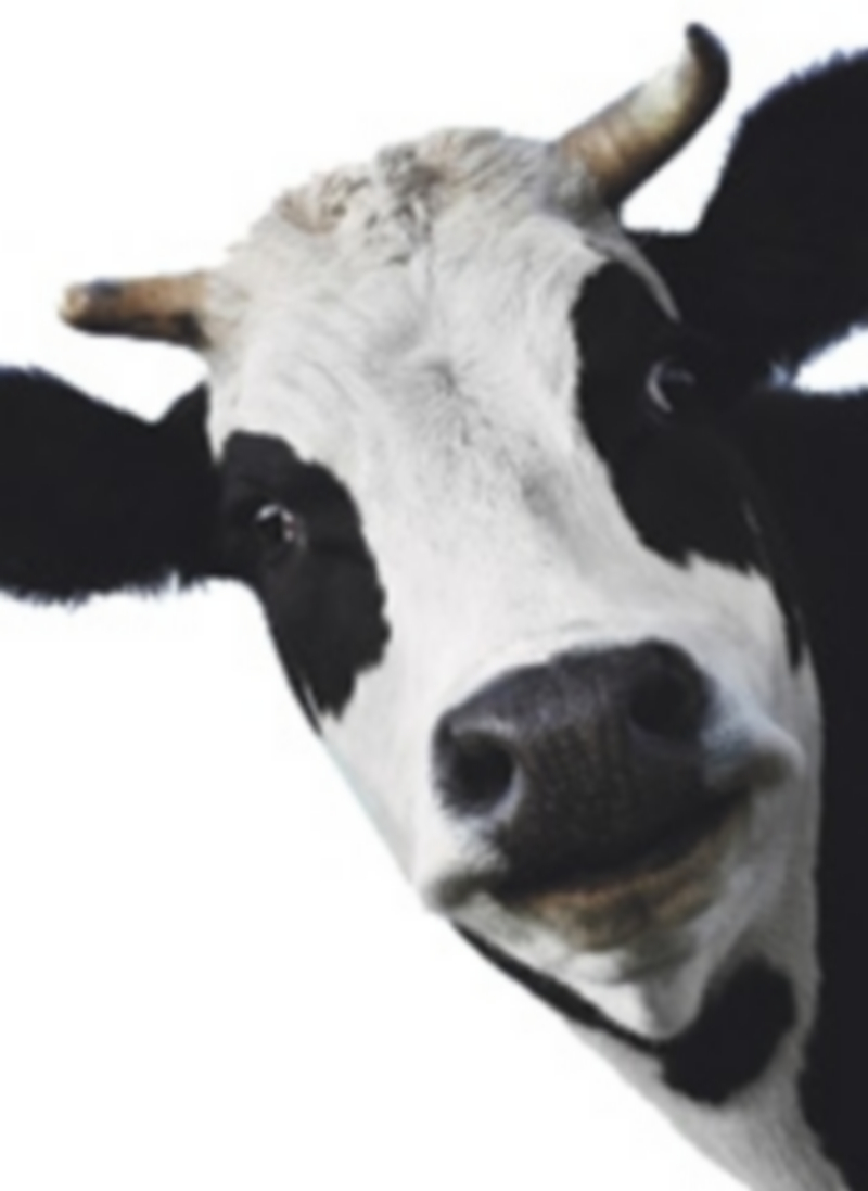 No se cubre la cuota láctea 1 20627