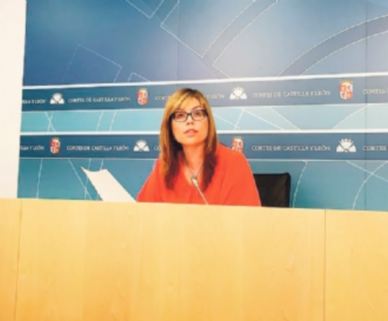 Esperas de 6 a 24 meses para cobrar las ayudas de Dependencia 1 La secretaria de Políticas Sociales del PSOE en Castilla y León