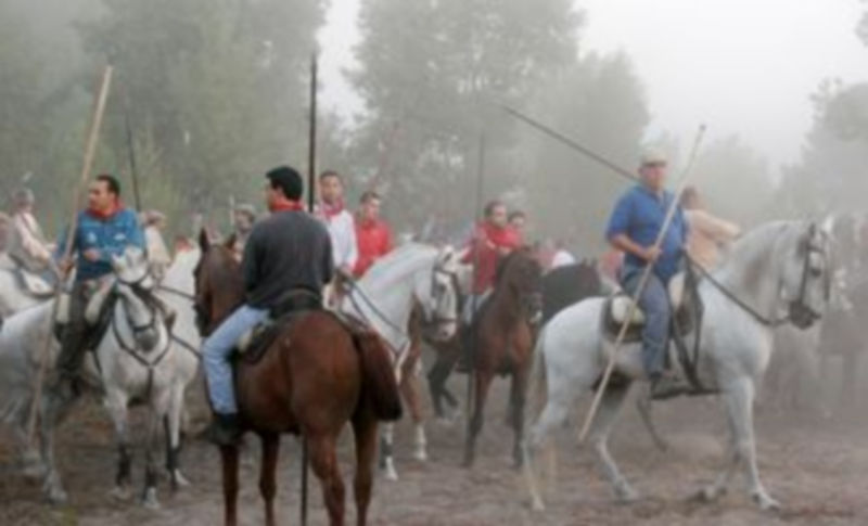 Los caballistas deben seguir las indicaciones de los responsables de la conducción del encierro. / Gabriel Gómez