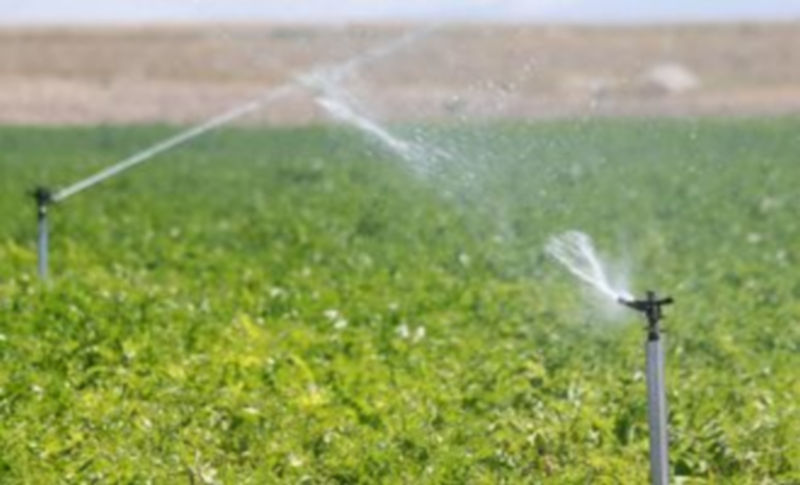 La conferencia versó sobre los regadíos de la región. / Gabriel Gómez