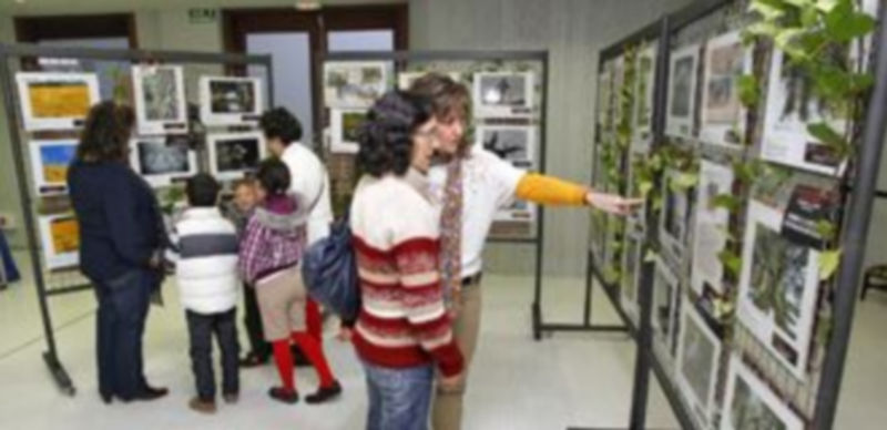 La exposición puede visitarse hasta el 5 de mayo en la sala Alfonsa de la Torre. / Gabriel Gómez