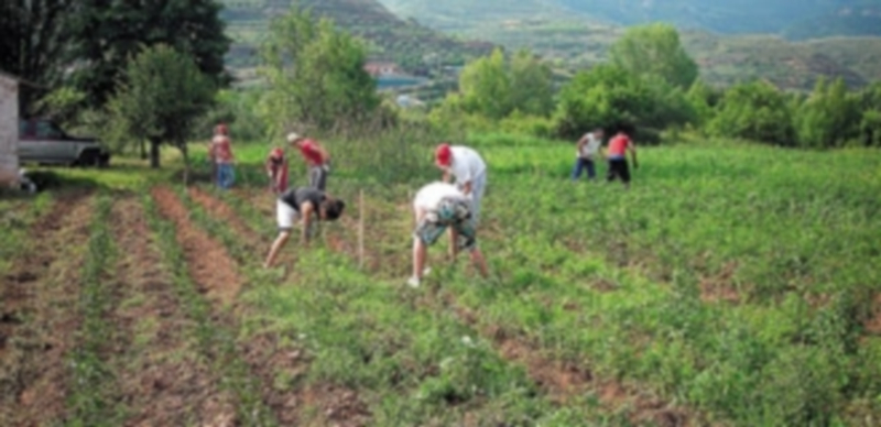 Los pagos de las ayudas directas de la PAC incluyen los anticipos que se realizaron en el periodo del 16 de octubre al 30 de noviembre. / Magrama