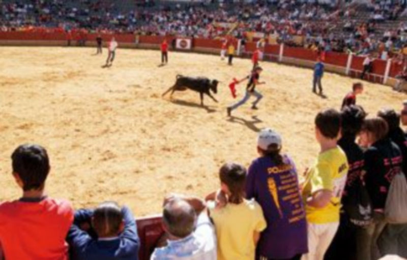 La suelta de vaquillas y la probadilla son dos de los actos tradicionales de esta festividad en la villa. /GABRIEL GÓMEZ