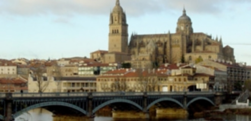 La campaña de limpieza del Ayuntamiento de Salamanca alcanza unos 162 solares 1 La campaña comenzó el pasado mes de mayo en el barrio de Pizarrales. / EFE