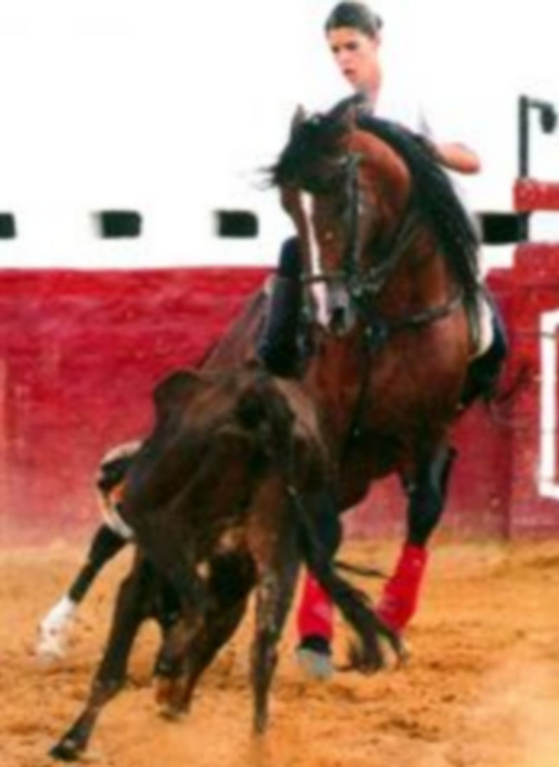 La rejoneadora Lea Vicens será la invitada de la Tertulia Taurina de Segovia. / E.A.