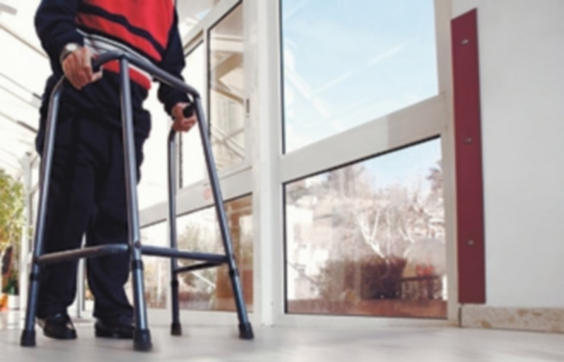 Los dependientes podrán optar a cuidados familiares y profesionales 1 Una de las opciones de los dependientes cuidados por familiares será acudir