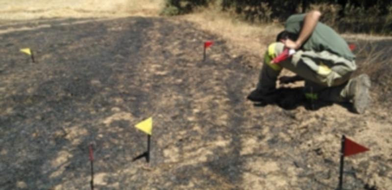 Un técnico analiza la zona en la que se inició el fuego de Latedo (Zamora). / Efe