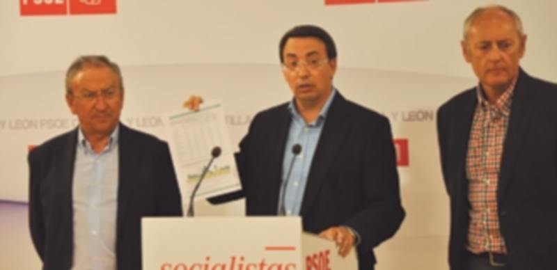 Los responsables socialistas en materia de Educación en las Cortes