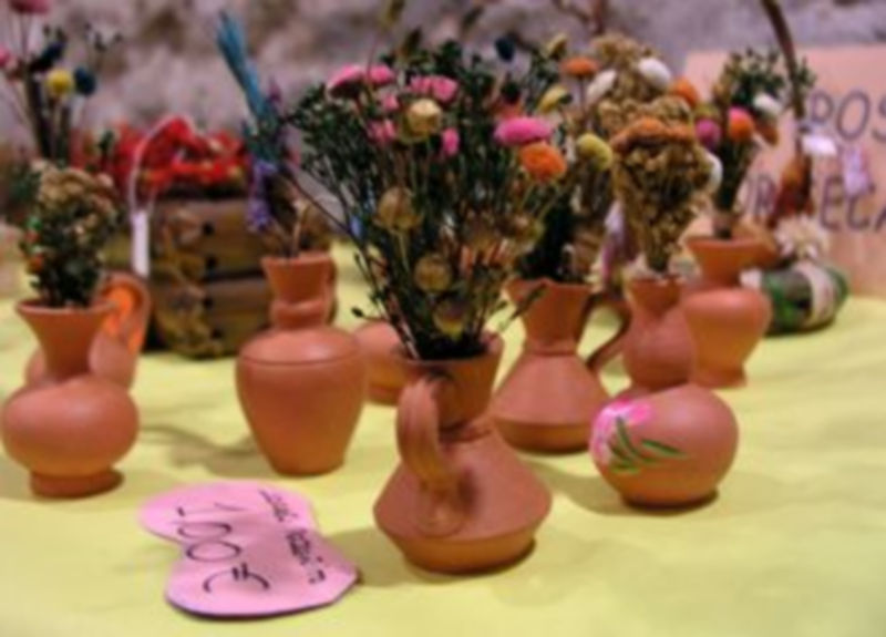 Una de las exposiciones de Apadefim. / Gabriel Gómez