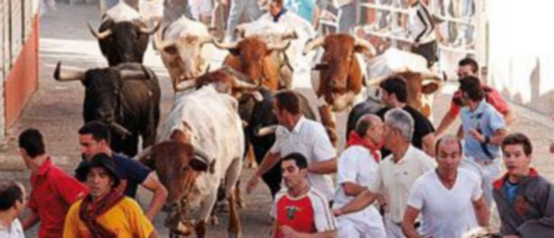 El pliego incidirá en la reducción del número de cabestros que participen en el recorrido urbano del encierro. /GABRIEL GÓMEZ