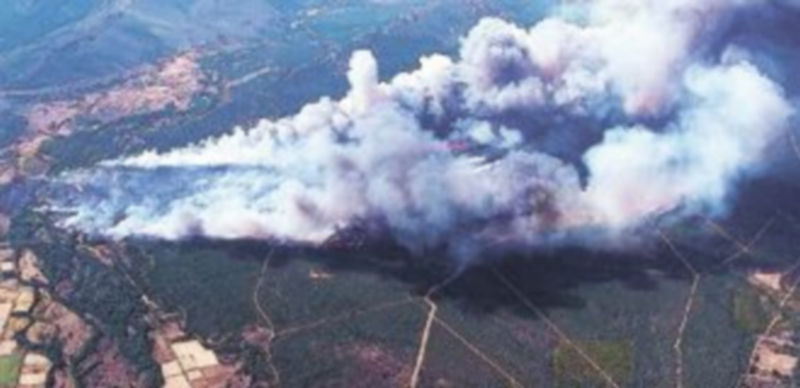 Vista aérea del incendio declarado ayer en el término municipal de Castrocontrigo (León). / Ical