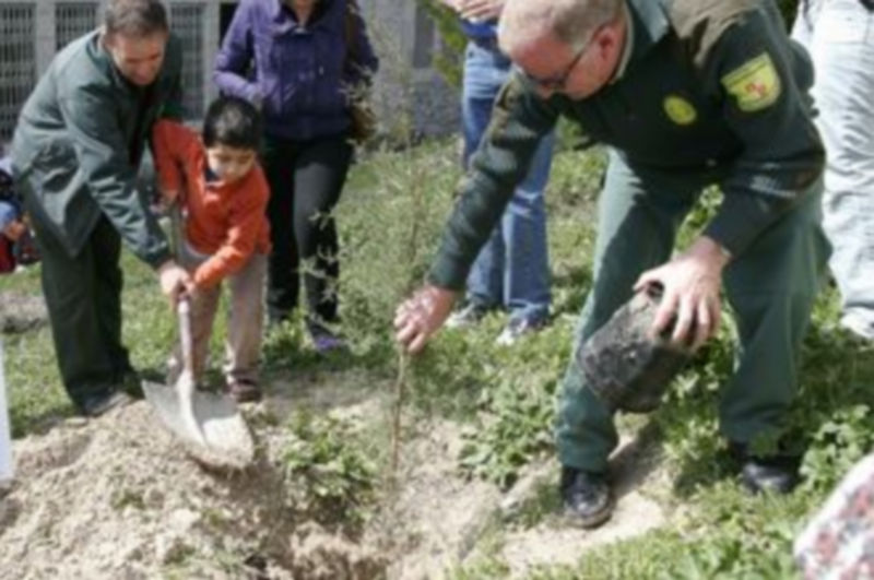 El proyecto pretende fomentar la Naturaleza de Tierra de Pinares en los niños en edad escolar. / Gabriel Gómez