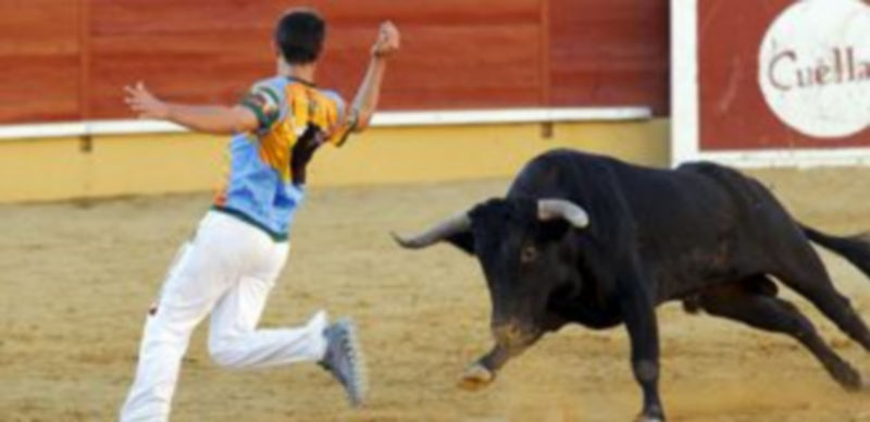 Un momento del desarrollo del concurso de cortes celebrado el pasado año en la villa. / Gabriel Gómez