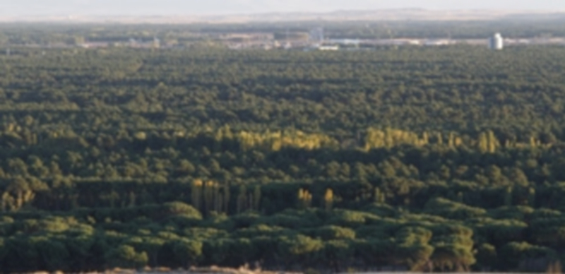 La ruta se presentará el lunes y los interesados podrán realizarla el sábado 23 de noviembre. / Gabriel Gómez