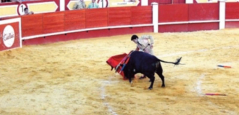 El PSOE califica como “negativo” el desarrollo de la pasada feria taurina 1 Aseguran que la poca afluencia de público a la plaza confirma la baja calidad de los festejos. / Luis Tejero