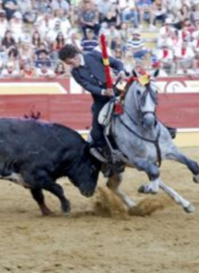 Las reses de Esteban Isidro protagonizaron la corrida de rejoneo./ Gabriel Gómez.