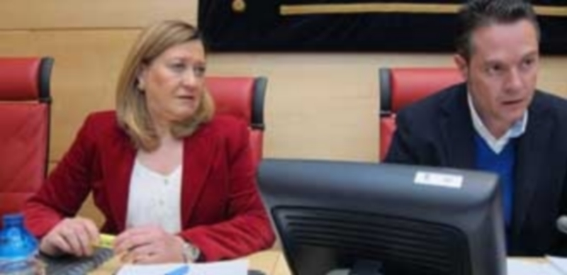 Del Olmo insistió en que el objetivo de 2015 era “muy exigente” y que los gastos sanitarios se incrementaron. / Europa Press