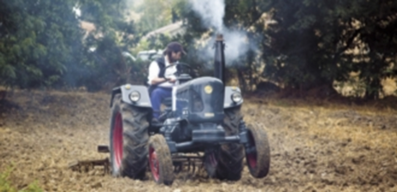 En el primer semestre de 2014 se liquidarán el resto de las ayudas. / El Adelantado