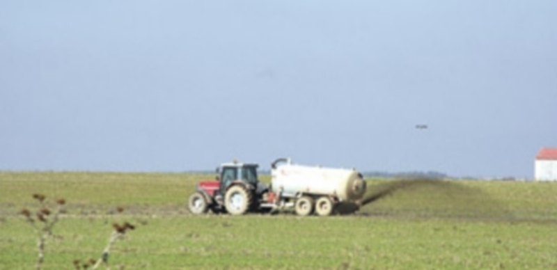 Un tractor esparciendo purines para utilizarlo como abono en unas tierras dedicadas a cereal. / F. D.