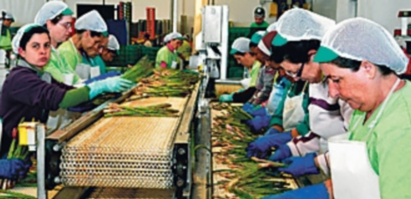 Las personas activas mayores de 35 años han aumentado desde finales de 2007 gasta el primer semestre de este año / Efe