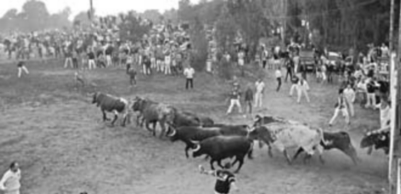 Finaliza el plazo de presentación del concurso fotográfico de fiestas 1 Fotografía ganadora de la edición de 2014