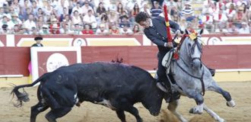 El municipio permitirá la utilización del coso cuellarano para esta corrida de rejoneo. / Gabriel Gómez